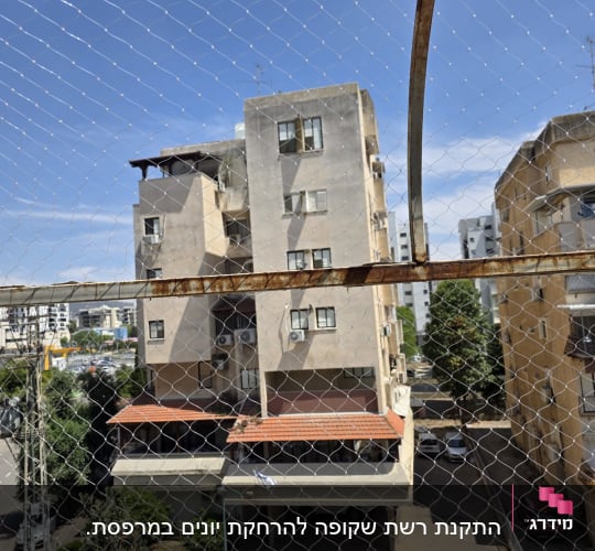 רשת מתכת למניעת כניסת יונים על רקע בניין